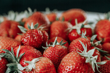 strawberries wonderland II bright