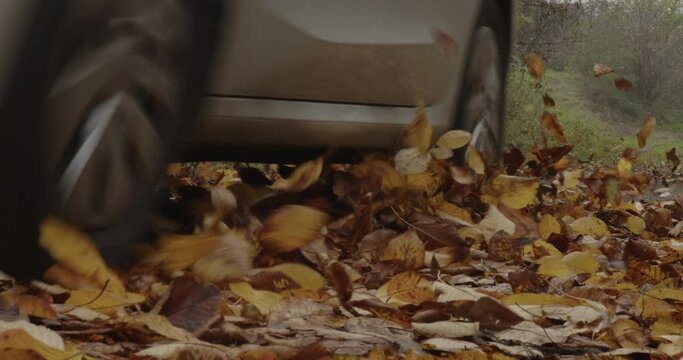 White car driving in slow motion, flying autumn leaves, vivid colors, low angle closeup view