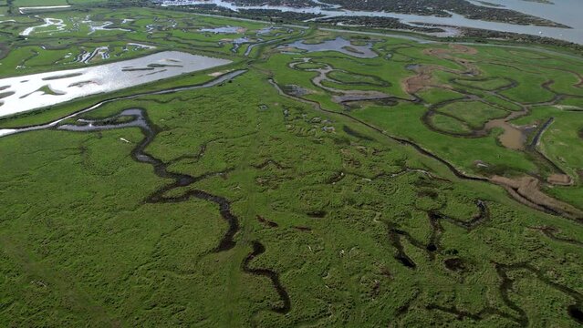 Winding Rivers in Swampy Coastal Marshes of Tollesbury, Essex, UK - Aerial
