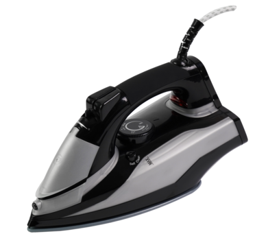 gray flatiron on a transparent background close-up                              