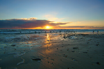 Sunset on the beach in Denmark. Shells in the foreground. Walk on the coast