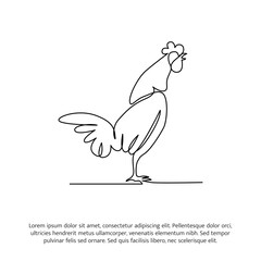 Rooster line design. Hen decorative elements drawn one continuous line. Vector illustration of minimalist style on white background.