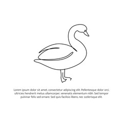 Swan line design. Swan decorative elements drawn with one continuous line. Vector illustration of minimalist style on white background.