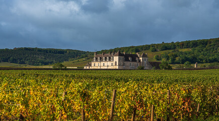 Fototapeta na wymiar Burgundy, France - September, 2020: Landscape view of a typical sunlit vineyard in Burgundy, France with Chateau Clos Du Vougeot, stone walls and hills in the background