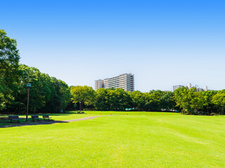 郊外の住宅地　青空と緑の公園