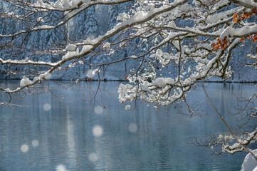 Snow magic on the Fusine lakes and in the forest of Tarvisio