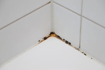 a moldy silicone joint in the bathroom - obrazy, fototapety, plakaty