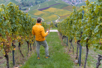 Mann in den Weinbergen