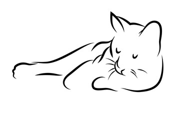 Lying cat on ilustrator in black and white
