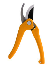yellow pruner isolated