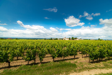 유럽 프랑스 생떼밀리옹 사진