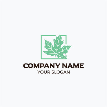 Mapple logo design