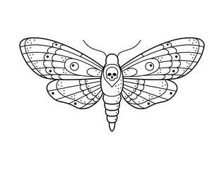 Stylized black and white death's head hawkmoth. Hand drawn line art ornated vector illustration.