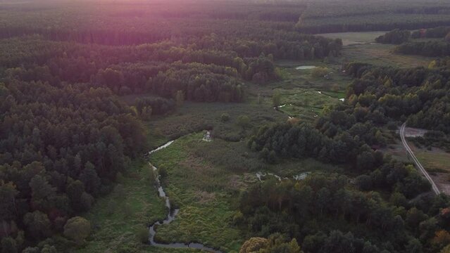 Frest in Poland
