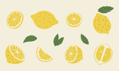 lemon and garden 1 vector illustration