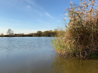 Autumn mood landscape with lake and forest in the perfect sunny weather
