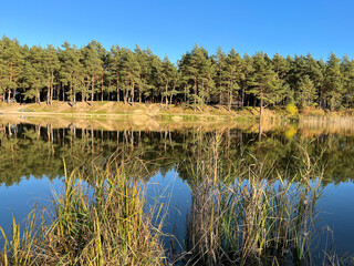 Autumn mood landscape with lake and forest in the perfect sunny weather