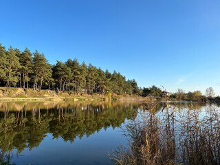 Autumn mood landscape with lake and forest in the perfect sunny weather