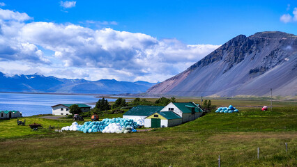 Fototapeta premium Rural landscape in the island of Iceland