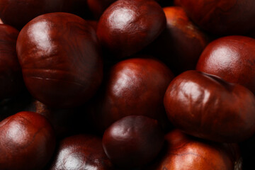 Fresh and ripe chestnuts, close up, Autumn chestnuts