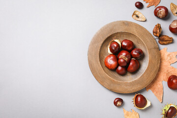 Fresh and ripe chestnuts, space for text