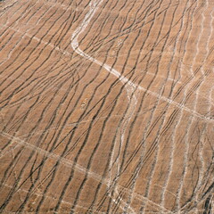 arable land after hibernation on a spring day