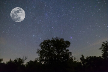 Naklejka na ściany i meble full moon on starry sky above night forest silhouette, night outdoor quiet scene