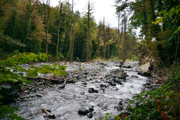 A stream of a river on a rocky bank