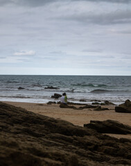observando