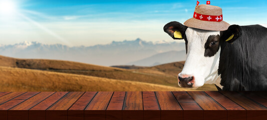Close-up of an empty wooden table and a white and black Swiss dairy cow (heifer) looking at the...