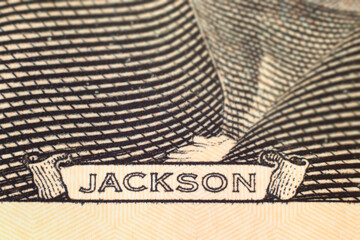 Macro fragment of a twenty dollar banknote