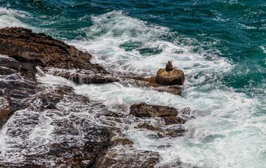 Natural view of strong waves on a rocky coast during summer