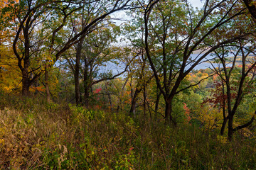 forests and bluffs of frontenac state park overlooking mississippi river valley in autumn