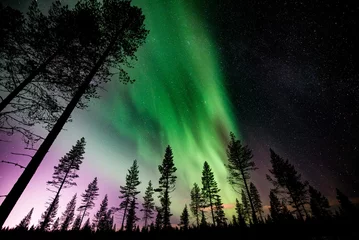 Fotobehang Northern lights in Rovaniemi, Lapland Finland © johannessimeoni