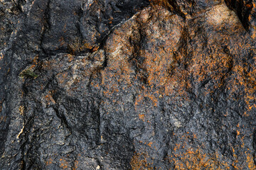 Damp surface of stoner covered in moss and lichen.
