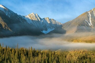 Canada, Yukon, view of the forest under the mist 