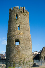 Tower of the Ferns Castle