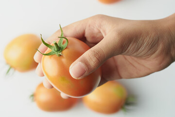 close-up of hand holding a ripe tomato with blurry background, edible berries isolated on white, selective focus