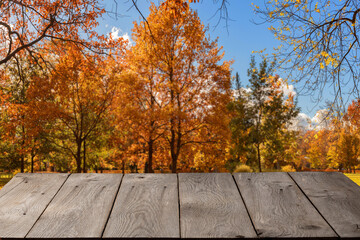 Naklejka na ściany i meble empty wooden table on the background of the autumn landscape, autumn forest and wooden planks in the foreground, free space