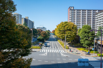 光が丘公園のマンション郡・タワマン
