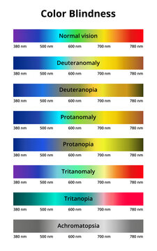 Vector illustration of color blindness or colorblindness. Normal vision, achromatopsia, protanomaly, protanopia, tritanomaly, tritanopia, deuteranomaly, deuteranopia. Color vision deficiency spectrum.