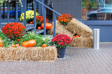 The front door of a street cafe is decorated with a colorful autumn composition for the Halloween...