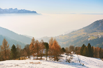 Winter landscape, Caux, Switzerland, Lake Geneva completely hidden with fog