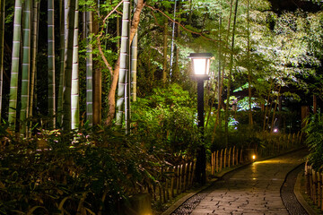 修善寺温泉　竹林の小径ライトアップ
