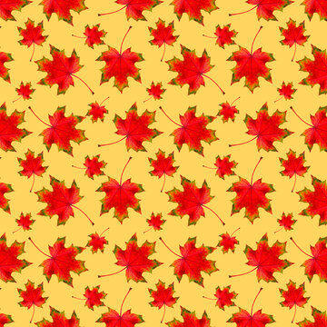 Pattern of autumn red maple leaves on a yellow background.