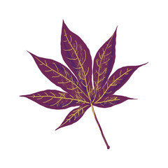 Purple fall leaf isolated