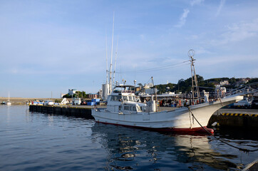 Fototapeta premium 稲取漁港