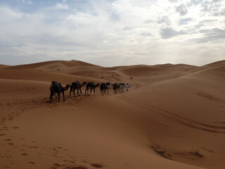 Fototapeta na wymiar caravane dans le désert