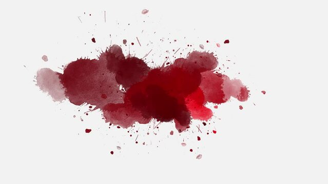 Dark red ink splatter creating a bold slow-motion reveal with fluid brush strokes, designed for clean overlays and alpha matte compositions.