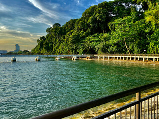 beach shore bridge nature trees sea ocean